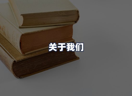 关于我们